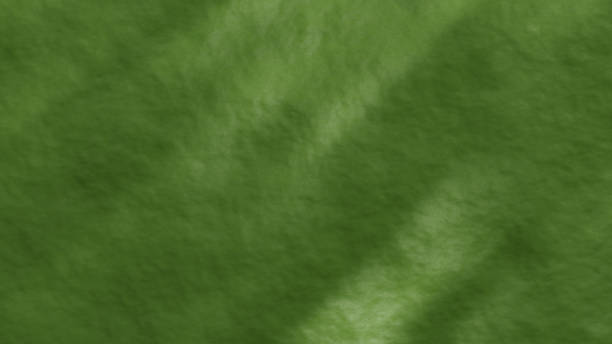 istock Green Paper Texture for Christmas Background 2233640776