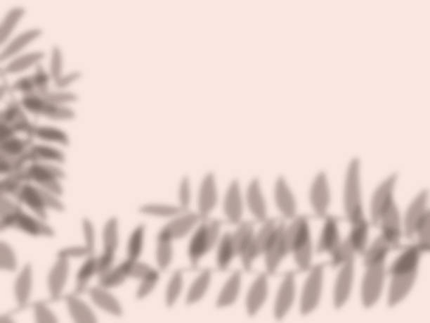 istock Background material featuring the shadows of plant leaves cast on a pink wall 2233643207