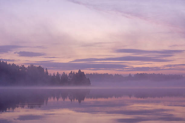 istock Misty lake at dawn with purple sky 2233644124