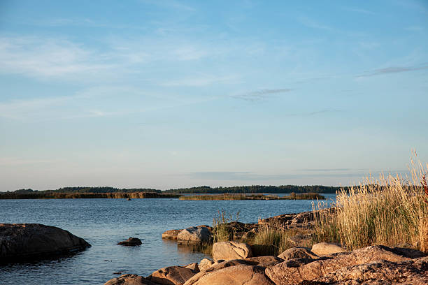istock Coastal landscape with rocks and grassy shore. 2233644266