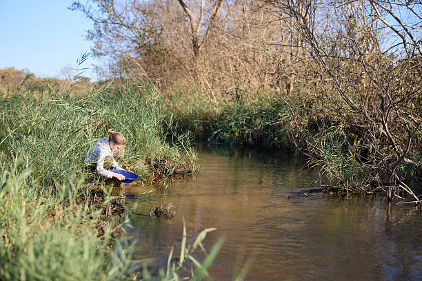 A young girl explores a small river, she is using a gold pan looking for pieces of gold. Fun holiday activities