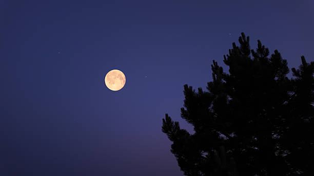 istock Full Moon with stars, planets and rural countryside tree silhouettes. 2233651047