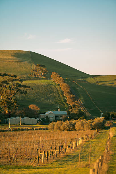 Field in Australia