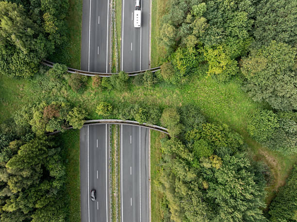 istock aerial view of a wildlife viaduct 2233656561