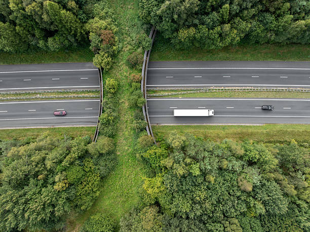 istock aerial view of a wildlife viaduct 2233656562