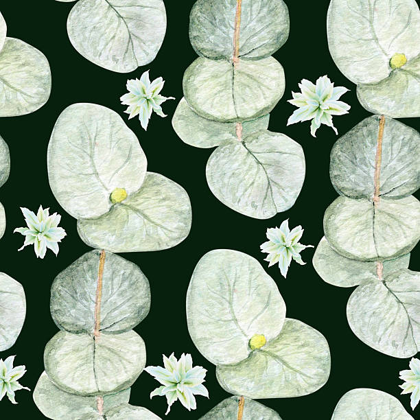 istock Eucalyptus branch with round leaves and flowers watercolor seamless pattern on dark background. 2233659533