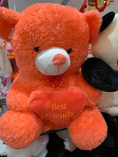 Orange Teddy Bear with Best Friends Heart