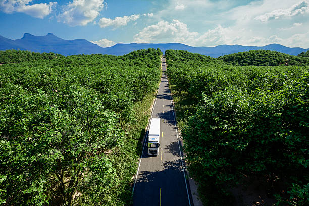 Aerial image captures a white cargo truck traveling on a narrow road cutting through a dense green forest with mountains in the background. The symmetry and contrast between the human-made infrastructure and natural environment highlight the theme of sustainable transportation and connectivity.