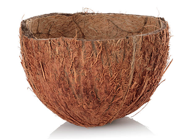istock Half coconut shell with hard husk, empty inside, usable as a bowl, isolated on transparent background, full focus stacking for sharp natural detail 2233664313