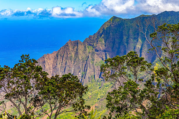 Kalalau valley lookout in Waimea Canyon State Park, Kauai Hawaii
