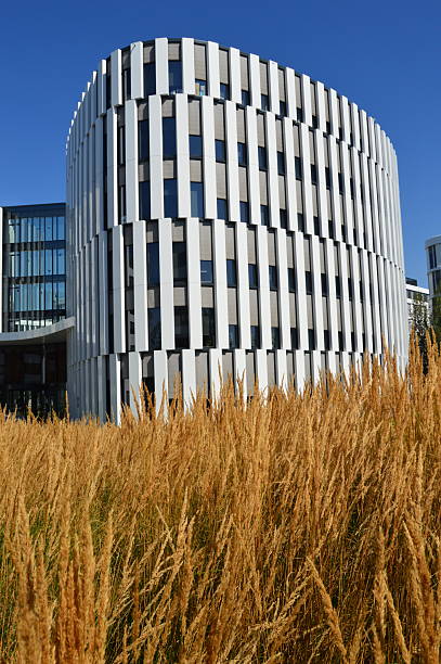 istock modern business offices surrounded by nature 2233669226