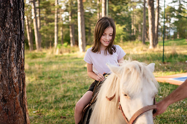Cute little girl is sitting on a pony outside