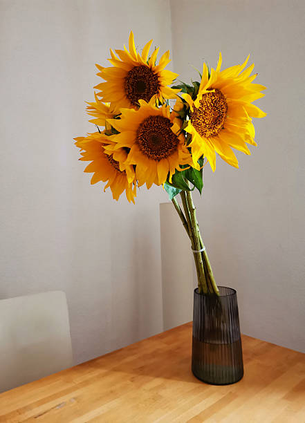 istock Sunflowers bouquet in a glass vase on table 2233670136