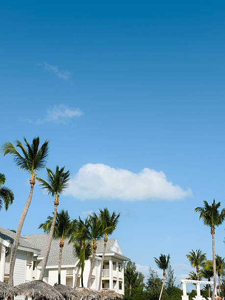 istock Tropical Resort Buildings with Palm Trees 2233672358