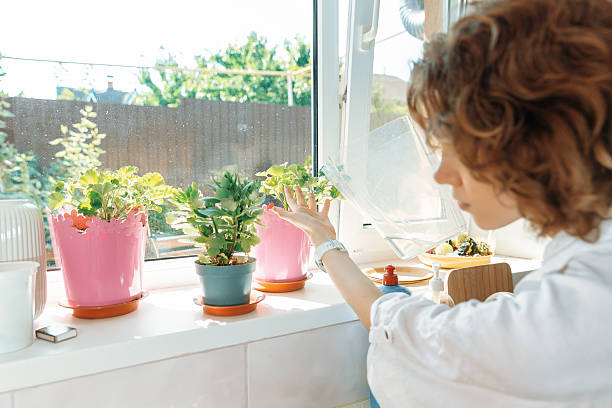 Chinese woman decorating home with peach blossom celebrating chinese new year