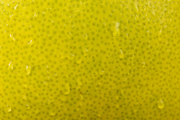 istock an unripe green grapefruit covered with water droplets 2233674048