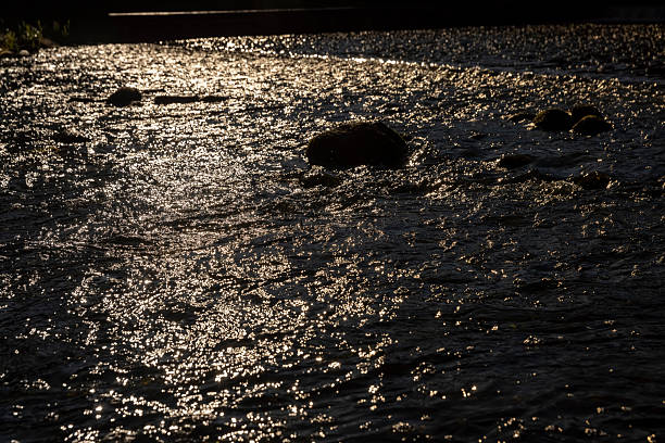 part of a river with a large rapid flow of water in sunny weather, closeup