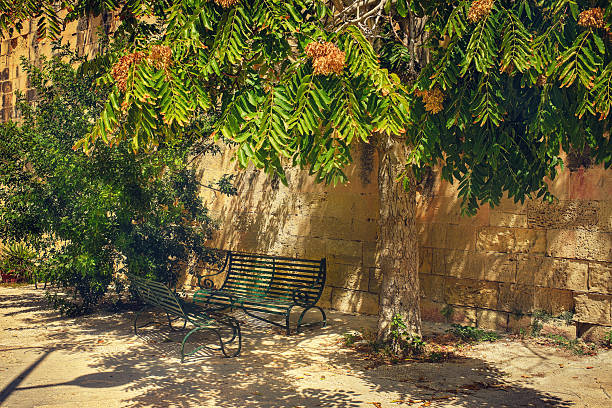 istock Green Metal Benches Under Tree in Sunny Park 2233674218