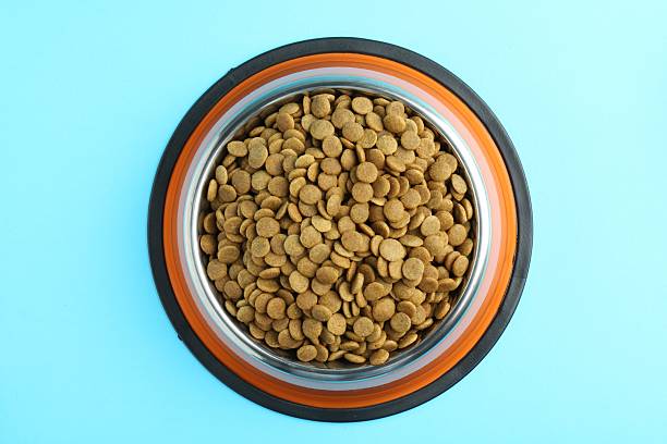 istock Dry pet food in feeding bowl on light blue background, top view 2233677928