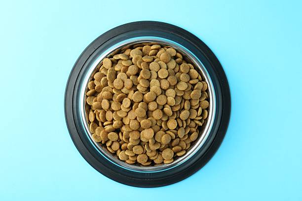 istock Dry pet food in feeding bowl on light blue background, top view 2233677934