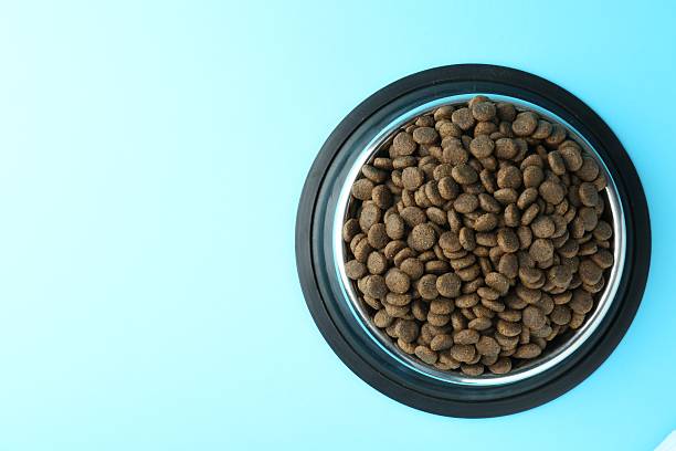 istock Dry pet food in feeding bowl on light blue background, top view. Space for text 2233677946