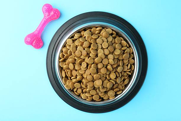 istock Dry pet food in feeding bowl and chew bone on light blue background, flat lay 2233677973