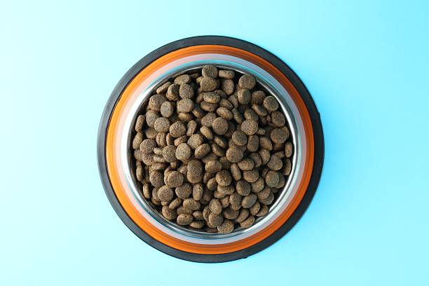 istock Dry pet food in feeding bowl on light blue background, top view 2233677982
