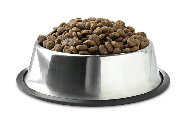 istock Dry pet food granules in feeding bowl isolated on white 2233677985