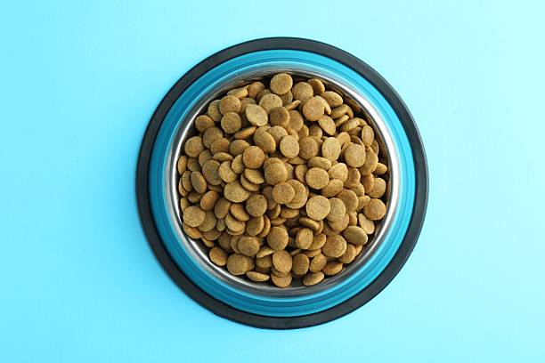 istock Dry pet food in feeding bowl on light blue background, top view 2233677991