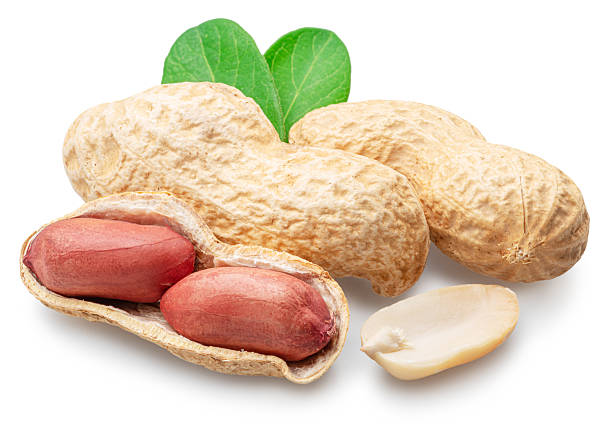 istock Peanut or groundnut whole and cracked on white background. Clipping path. 2233678259