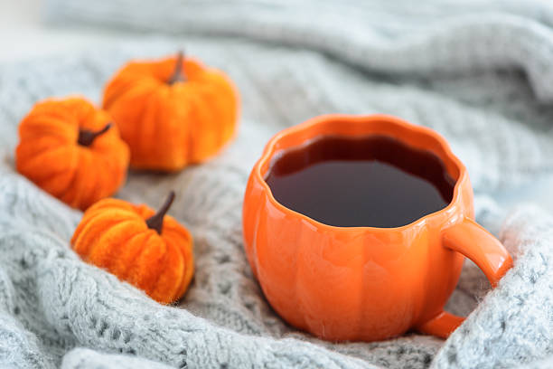 istock Autumnal tea set with pumpkin decor on a cozy knitted blanket. 2233680044