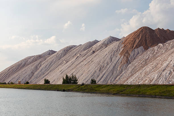 Large slag heaps rise beneath a clear blue sky, forming rugged silhouettes in the distance. In the foreground, green trees frame the scene, adding a touch of natural contrast to the industrial landscape. The composition evokes themes of environmental impact, post-industrial terrain, and the coexistence of nature and human activity.
