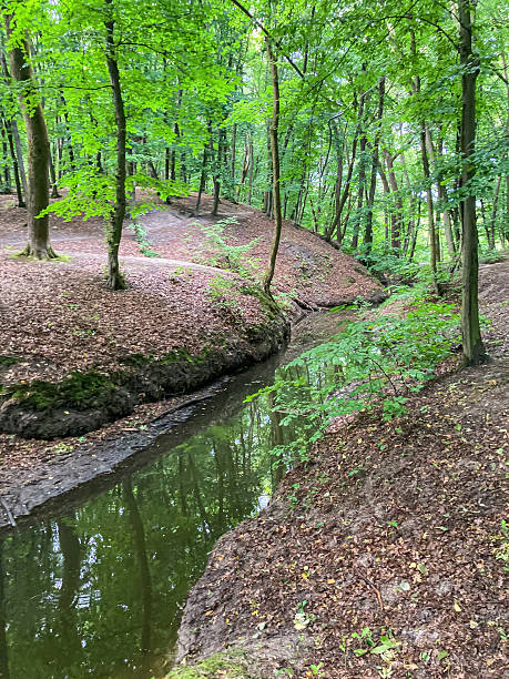istock Autumn or winter forest trail, shallow creek, lush greenery, deciduous trees, bare branches, fallen leaves, dirt path, natural scene, hiking trail, no people or structures, late afternoonearly eveni 2233684766