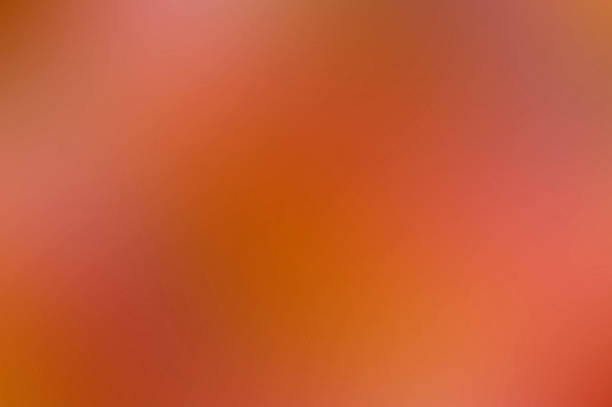 The background and abstract texture are colorful, slightly blurred with dominant bright colors, orange, red, and yellow like the colors of dusk.