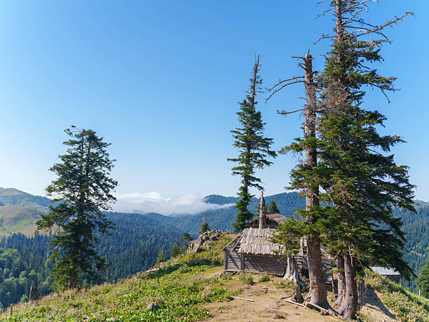 istock Tranquil View of Fog-Covered Hills and Forest 2233687524