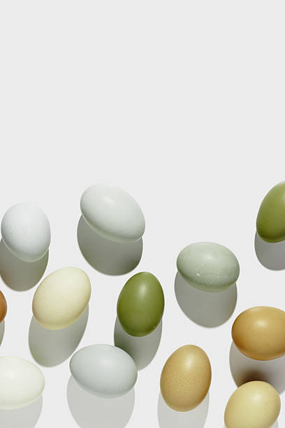 istock Pattern of natural colored chicken Eggs with sun shadows, minimal style aesthetic holiday background, organic dyed eggs foe easter celebration, minimalist food composition, pastel colored 2233688779