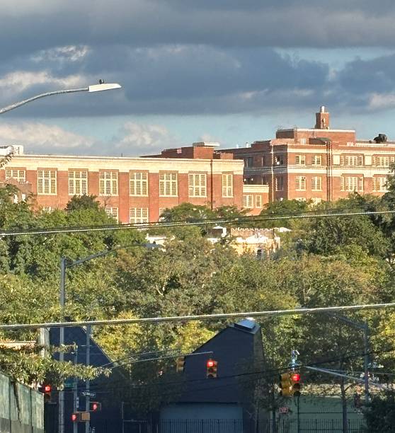 A Bronx school and neighborhood trees