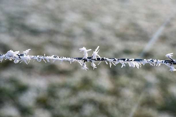 Schneebeckter Stacheldrahtzaun im Winter on a field