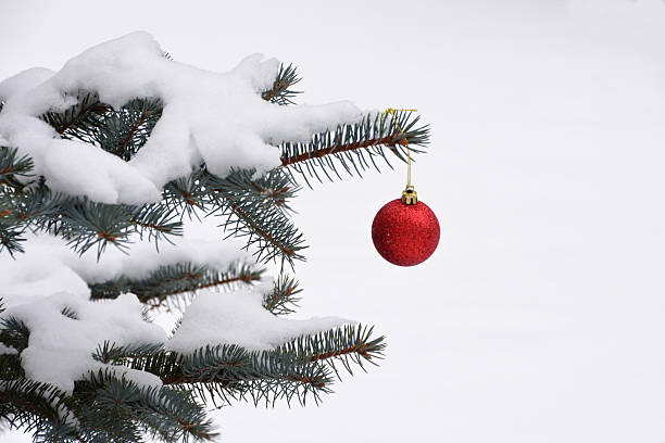 istock Red Christmas Ornament on Snowy Pine Branch copy space 2233694888