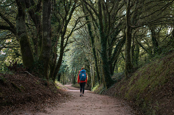 istock Vide angle view of lonely female backpacker walking along path through forest tree tunnel. Camino Way â famous Camino de Santiago pilgrimage route. Travel, adventure, active lifestyle concept. 2233698378