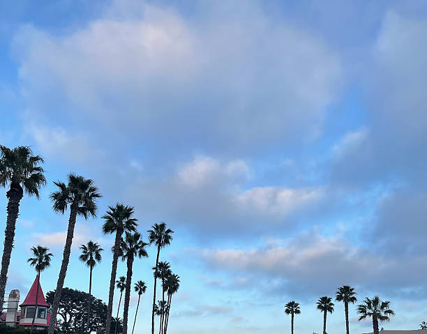 istock Coronado Central Beach in San Diego, California 2233700736
