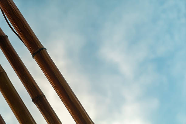 A close-up view of bamboo poles reaching toward a serene blue sky with soft clouds. The natural textures create a peaceful and calming atmosphere perfect for nature-inspired themes.