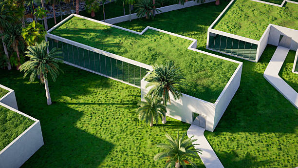 istock Modern Buildings with Green Roofs Surrounded by Tropical Vegetation 2233708168
