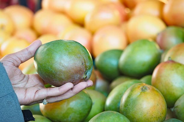 istock Hand holding a ripe mango among fresh fruit at market stall 2233710009