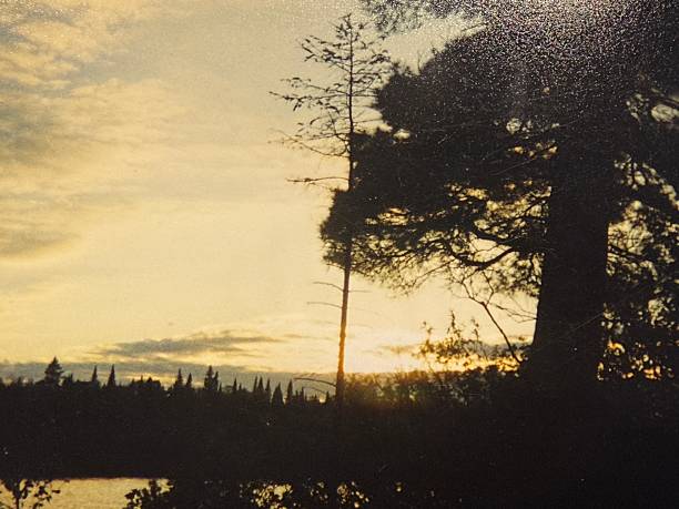istock Ontario Wilderness With Camp Ahmek 2233713288