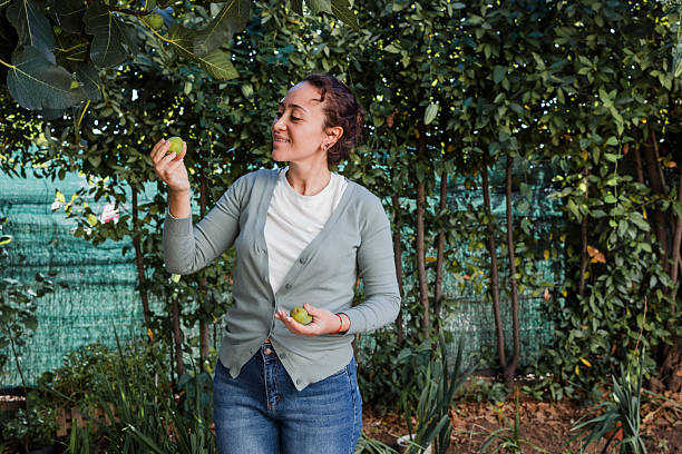 istock hispanic woman harvesting from fig tree at vegetable patch on backyard at home 2233716911