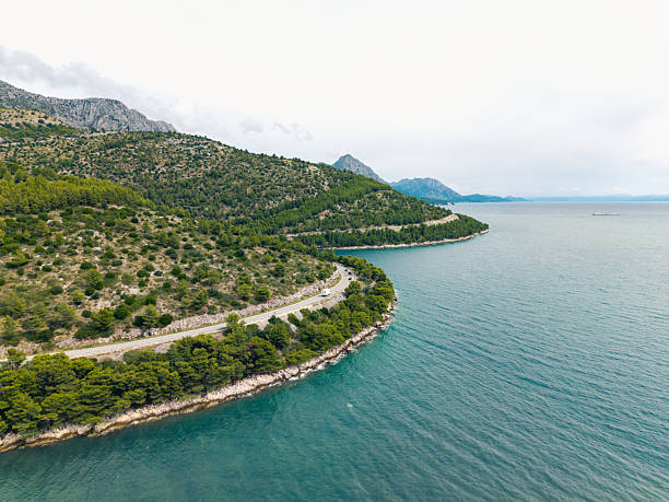 A winding coastal road runs along a green mountainous shoreline beside calm blue sea waters. Scenic landscape with pine trees and distant mountains. Coastal highway with ocean views.