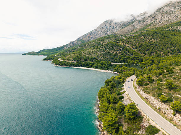 White car driving on winding coastal road beside dense pine forest and rocky shoreline. Scenic landscape with blue sea and hills in the background. Nature and travel concept.