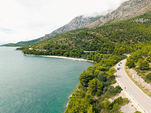 White car driving on winding coastal road beside dense pine forest and rocky shoreline. Scenic landscape with blue sea and hills in the background. Nature and travel concept.