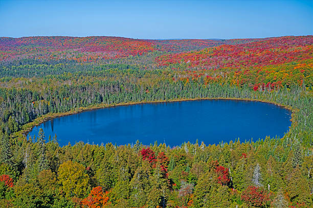 Fall Colors Encroaching on a North Woods Lake on Oberg Lake in Minnesota